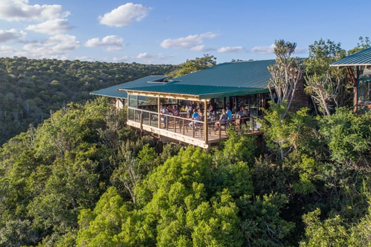 Bar aerial